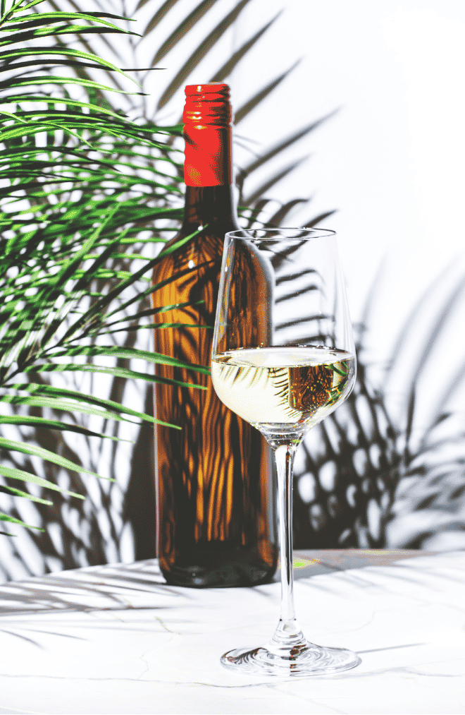 Glass of white wine and unlabelled bottle on a white table next to green leaves & shadows
